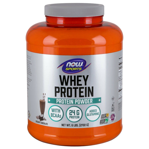 Now Sports Whey Protein Dutch Chocolate Powder 6 lbs.
