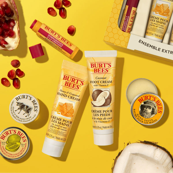 Burt's Bees Tips And Toes Kit