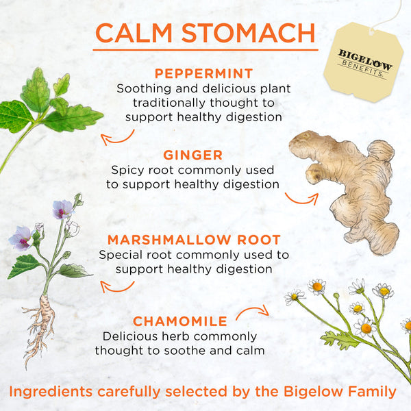 Bigelow Benefits Tea Ginger & Peach Bag 18ct