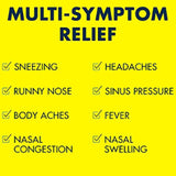 Advil Multi-Symptom Cold & Flu 200 mg 10 Tablets