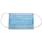 Icu Health Llama Mask Storage Pouch and 10 Disposable Masks