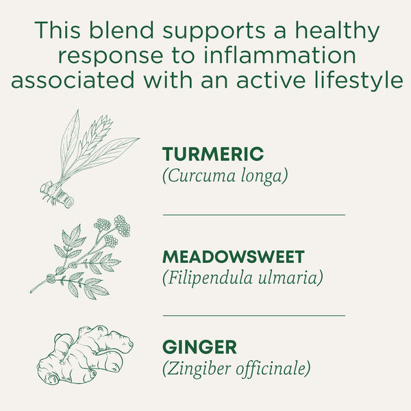 Traditional Medicinals Turmeric with Meadowsweet & Ginger 16 Tea Bags