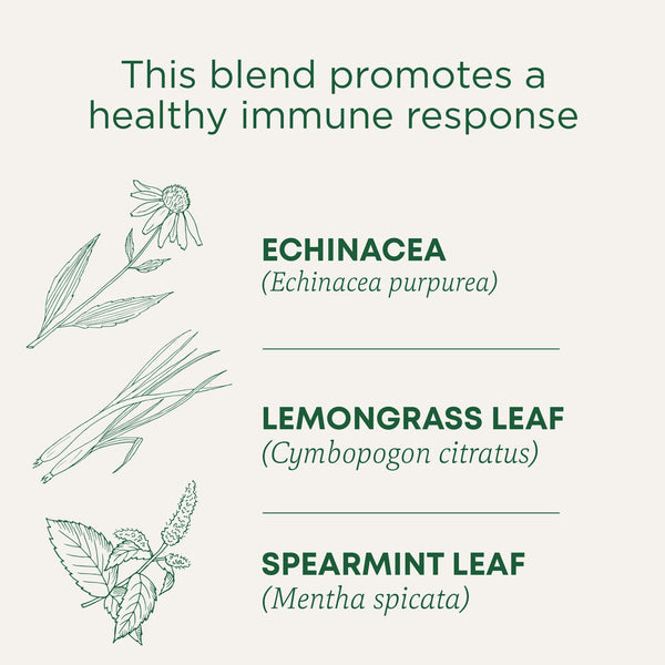 Traditional Medicinals Echinacea Plus Tea Bags 16ct