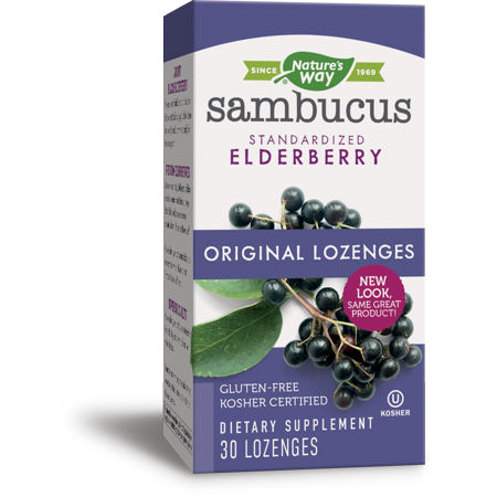 Natures Way Sambucus Original Standardized Elderberry