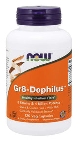 Now Gr 8 Dophilus Enteric