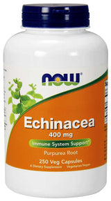Now Echinacea 400mg 100 Vegetable Capsules