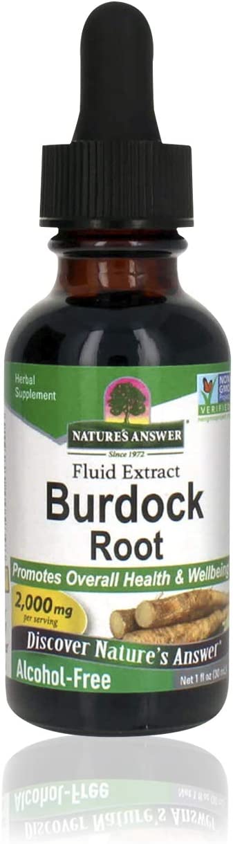 NATURES ANSWER  BURDOCK ROOT 1 Oz