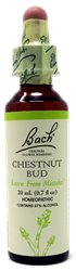 Bach Chestnut Bud 0.7Oz