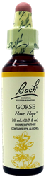 Bach Gorse 0.7Oz