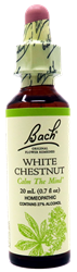 Bach Wild Oat 0.7Oz