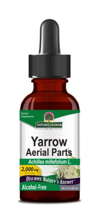 Naturalización Respuesta Piezas aéreas de Yarrow 1 oz