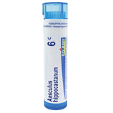 Boiron Aesculus Hippocastanum 6C relieves hemorrhoid pain aggravated by heat, 80 Pellets