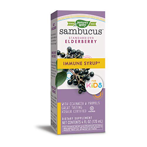 Nature's Way Sambucus Elderberry Immune Syrup for Kids, Herbal Supplements, Gluten Free, Vegetarian, 4 Ounce