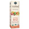 Garden of Life Mykind Organics Vitamin B-12 Spray Raspberry